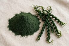 Proveedor Spirulina comprar Alga Spirulina en polvo menudeo méxico por kilo por kg químicos triple G droguería. Proveedor Alga espirulina . Comprar Alga Espirulina